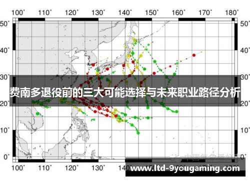 费南多退役前的三大可能选择与未来职业路径分析