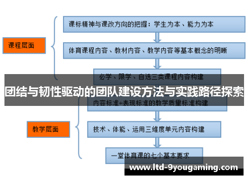 团结与韧性驱动的团队建设方法与实践路径探索