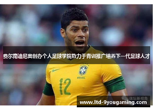 费尔南迪尼奥创办个人足球学院致力于青训推广培养下一代足球人才