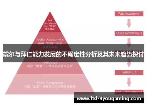戴尔与拜仁能力发展的不确定性分析及其未来趋势探讨 戴尔与拜仁能力发展的不确定性分析及其未来趋势探讨