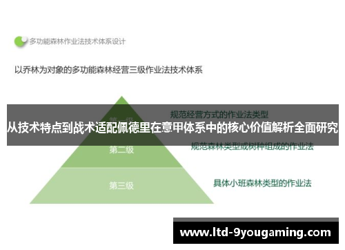 从技术特点到战术适配佩德里在意甲体系中的核心价值解析全面研究