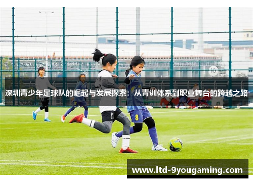 深圳青少年足球队的崛起与发展探索：从青训体系到职业舞台的跨越之路