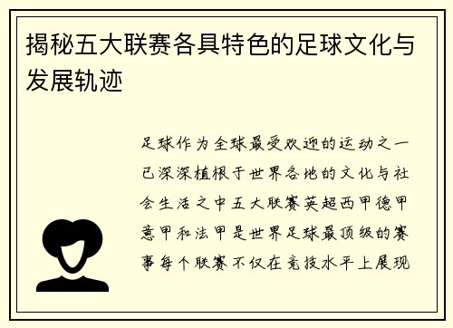 揭秘五大联赛各具特色的足球文化与发展轨迹